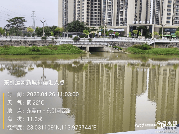 皇冠信用网出租
_东莞寒溪河出现大片死鱼皇冠信用网出租
！官方回应：天气原因